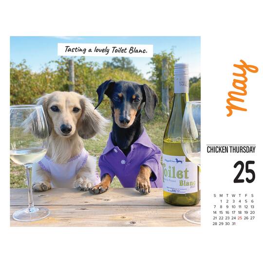 2023 Crusoe the Celebrity Dachshund Box Calendar Michaels